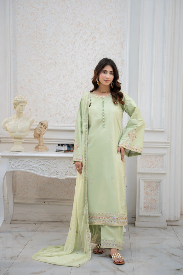 Pista Dream 3 piece Embroidered Stitched suit