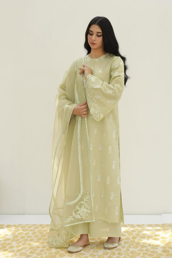 Apple Green - 3 PIECE STITCHED FULL SLEEVES